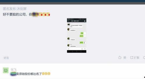 独家爆料是什么意思,揭开神秘事件的背后真相