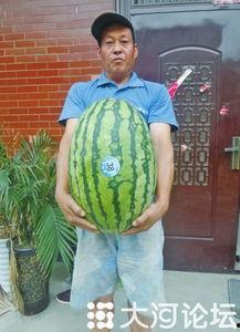 51今日吃瓜热门大瓜视频,揭秘热门大瓜视频背后的惊人真相