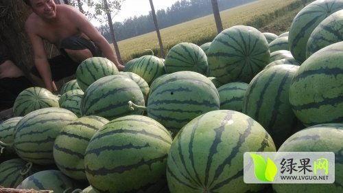 怀仁网红大瓜最新消息,揭秘背后惊人真相，网友热议不已！